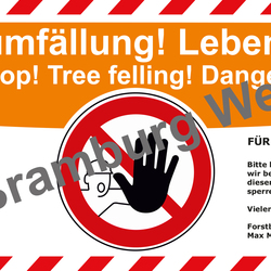 Forstbanner Baden -Württemberg Orange