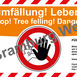 Forstbanner Hessen Orange