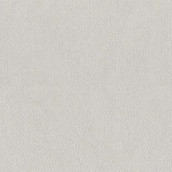 Vintage Leather White 10 Meter